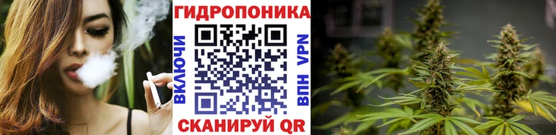 Купить закладки  Рыльск  Конопля LSD WEED 
